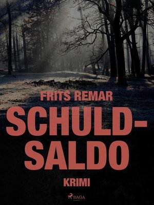 cover image of Schuldsaldo
